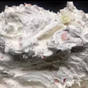 Bagel with Tofutti Vegetable Spread