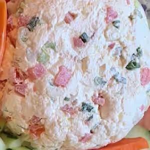 Bagel with Tomato-Scallion-Onion Spread